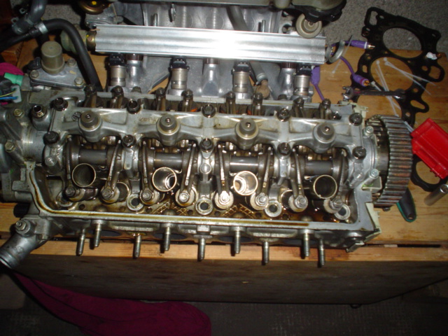 katze und mini me 021.JPG