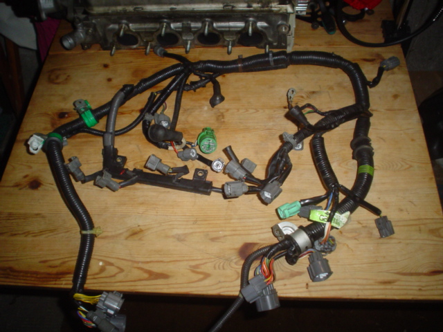 katze und mini me 023.JPG