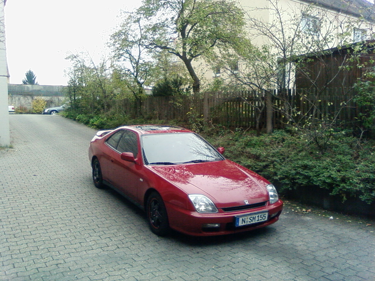 SP_A0535.jpg