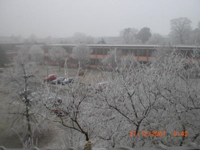 CIMG0516.JPG