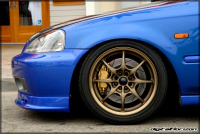 DSC_8290.jpg