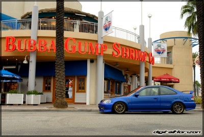 DSC_8295.jpg