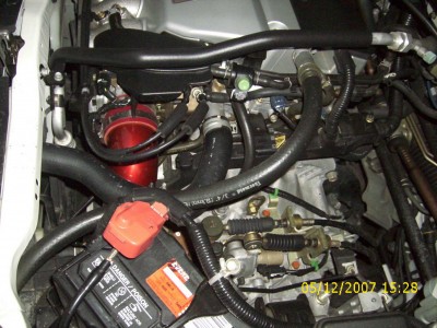DSCI0010 (3).JPG