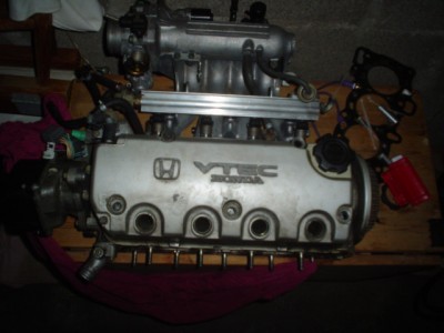 katze und mini me 019.JPG