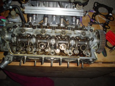 katze und mini me 021.JPG