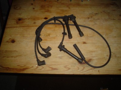 katze und mini me 024.JPG