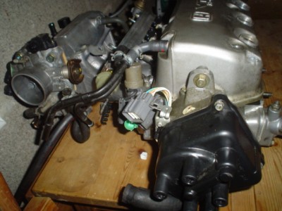 katze und mini me 026.JPG