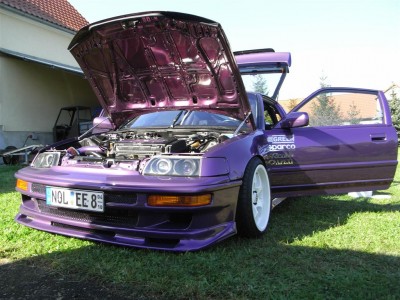 RIMG0003 (Large).jpg