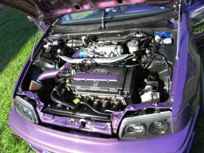 RIMG0005 (Large).jpg