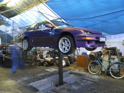 RIMG0187 (Large).JPG