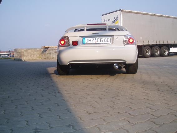 weiss die2. 025kl.JPG