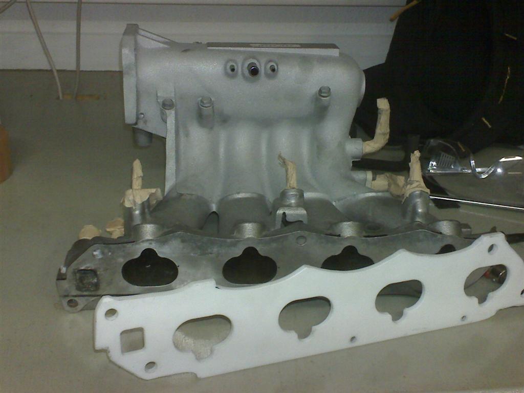 DSC00060 (Large).JPG