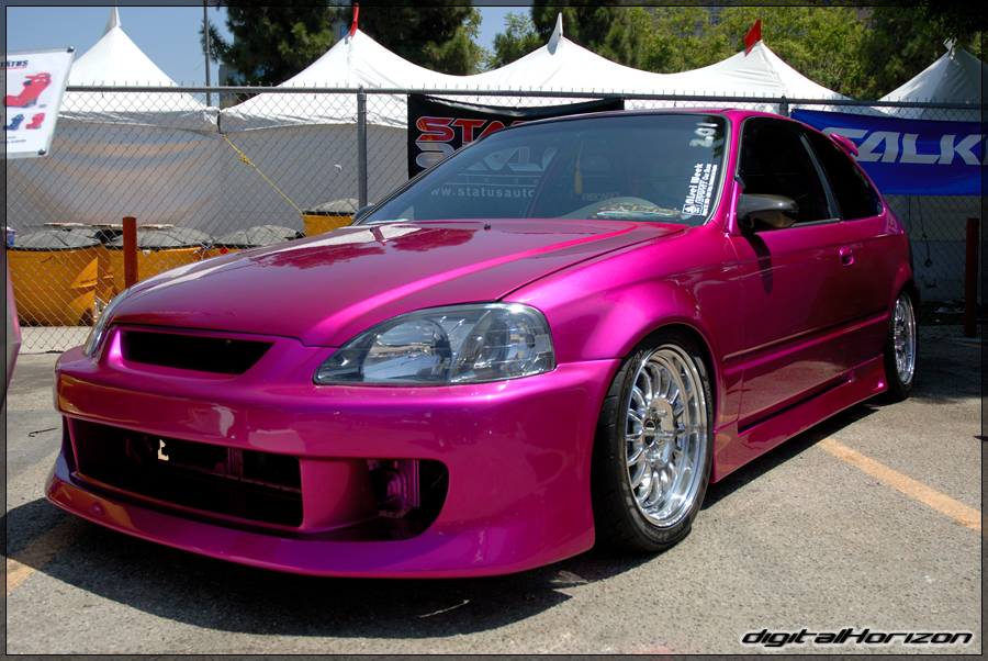 DSC_6774.jpg