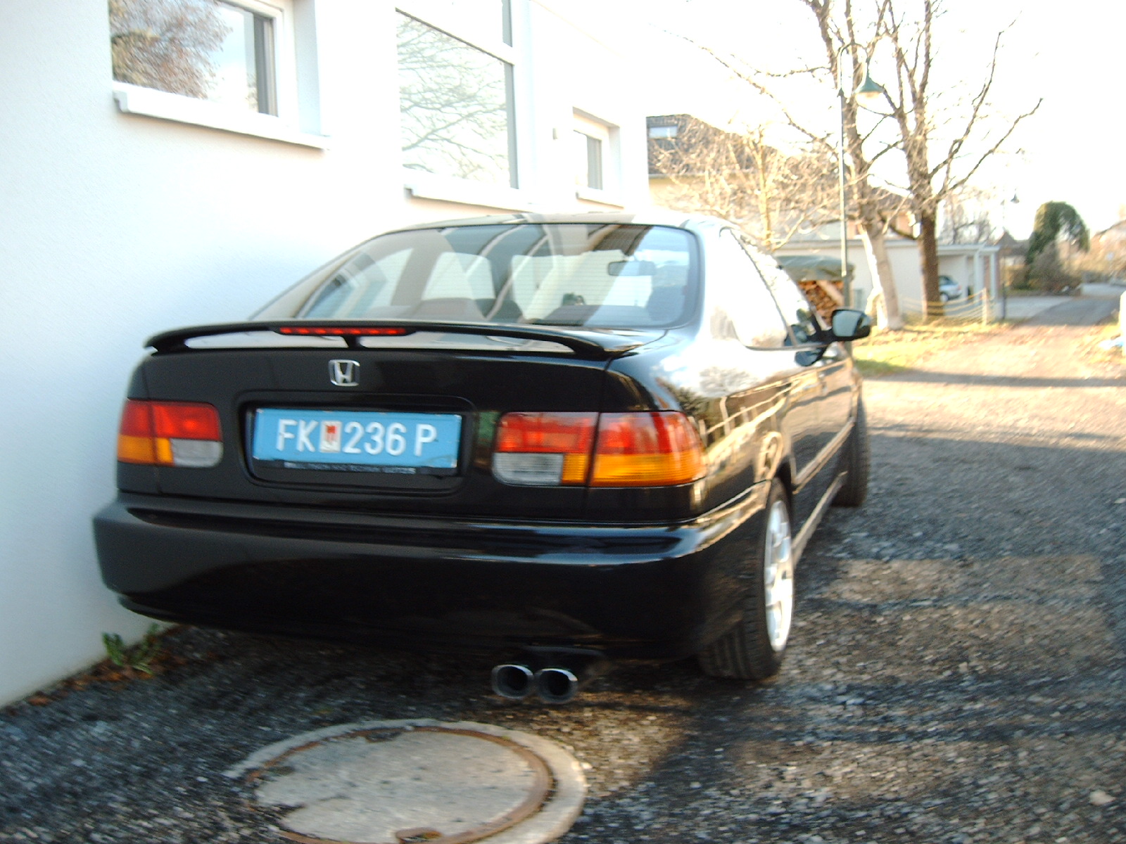 IMAG0294.JPG