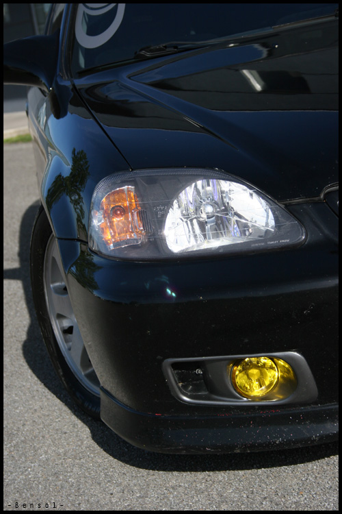 img4842yl5.jpg