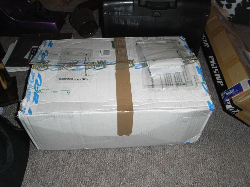 RIMG0200 (Large).JPG