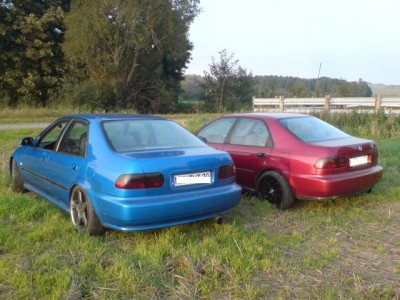 dsc00326rp6.jpg