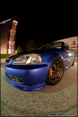 dsc09306gn.jpg