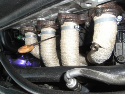 RIMG0211 (Large).JPG