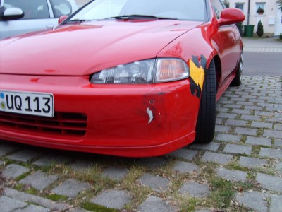 SD531840.JPG