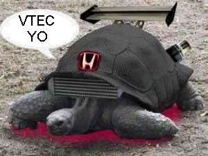 vtec_1200050290.jpg