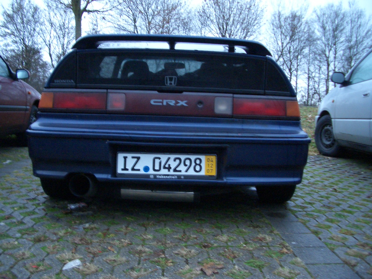 CIMG3406.JPG