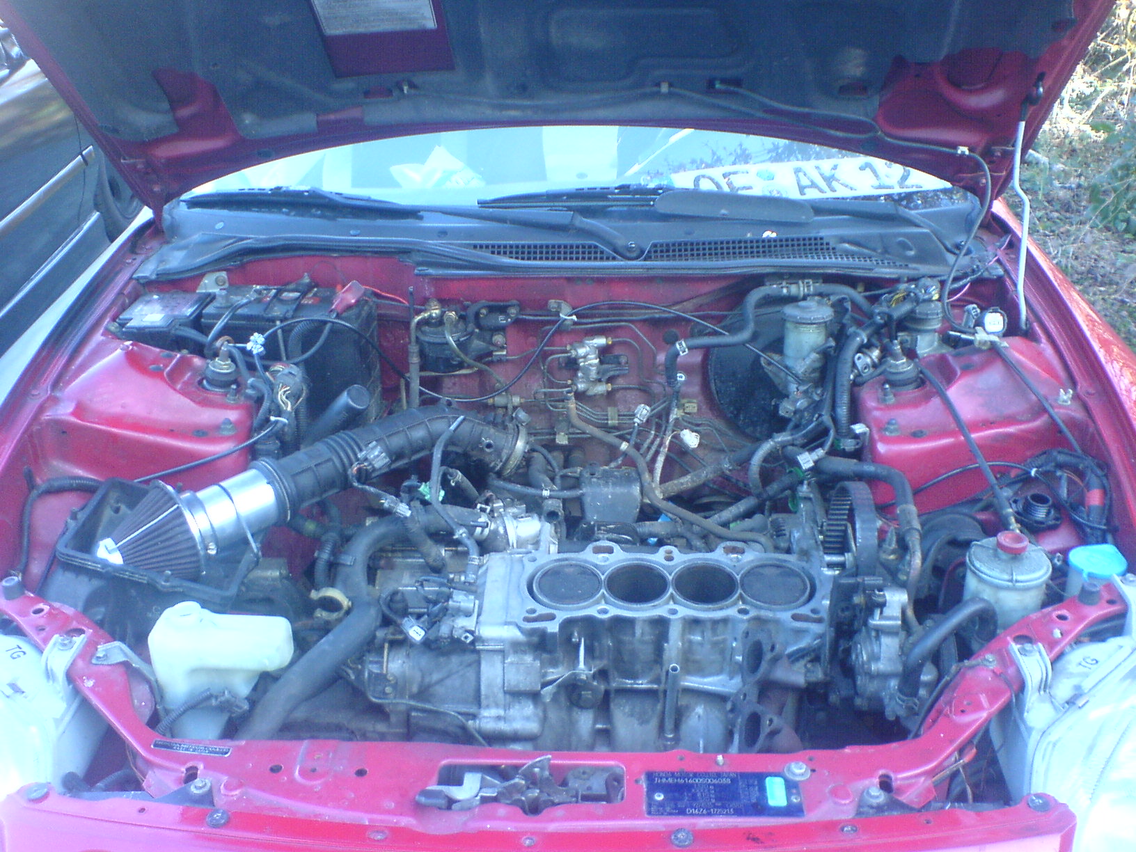 DSC01256.JPG