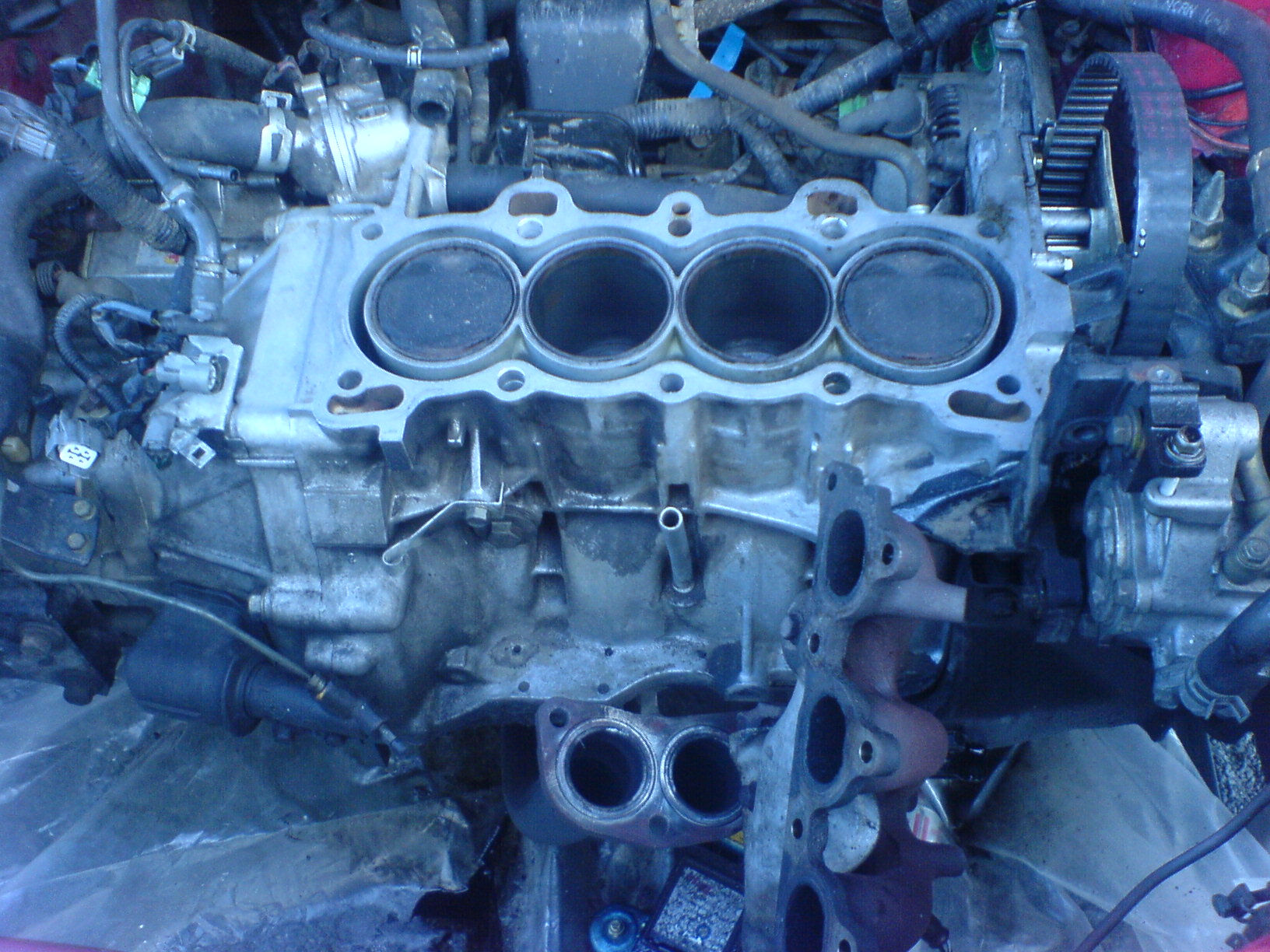 DSC01257.JPG