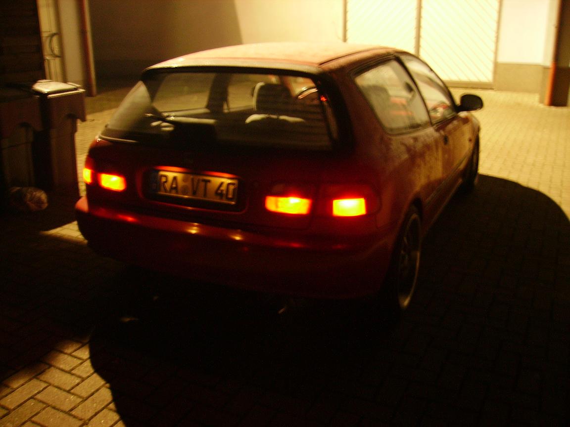 PICT0555.JPG