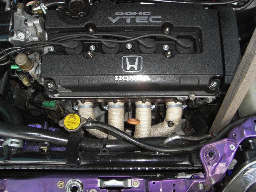 RIMG0207 (Large).JPG