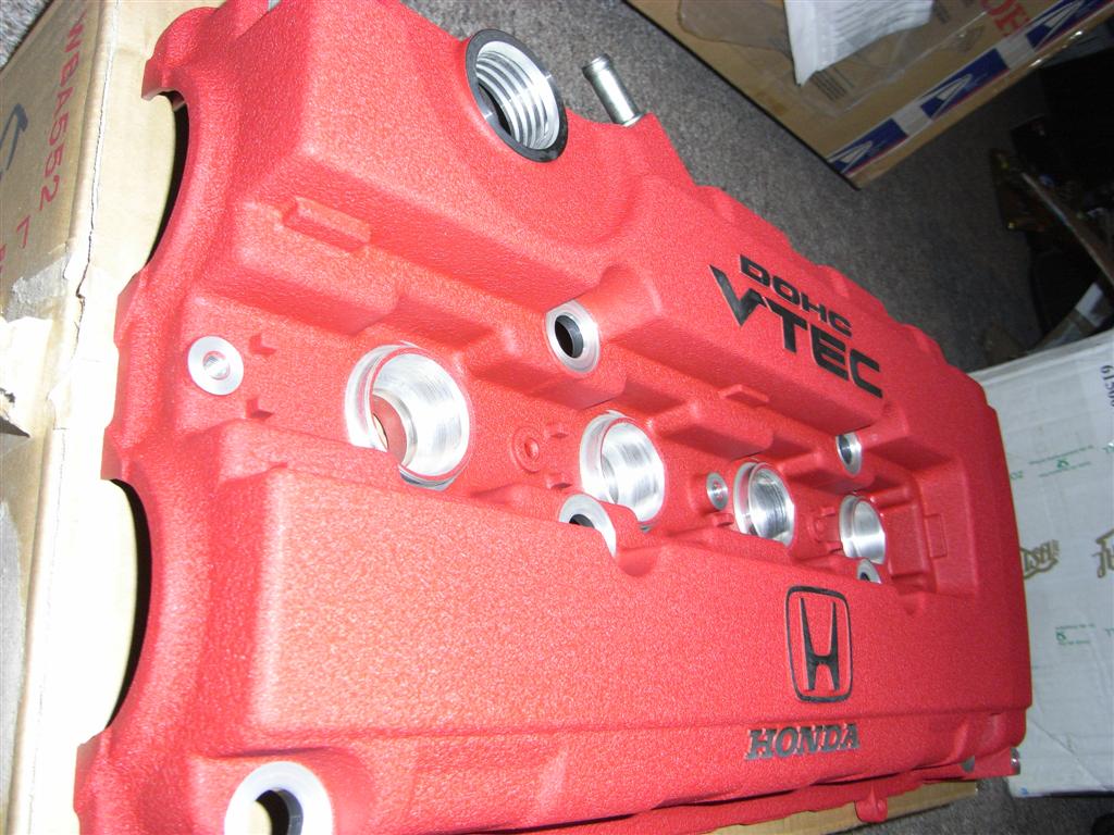 RIMG0280 (Large).JPG