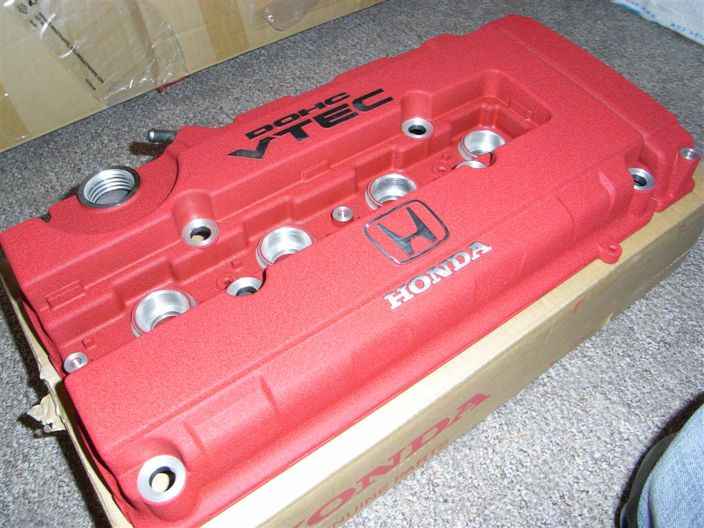 RIMG0281 (Large).JPG