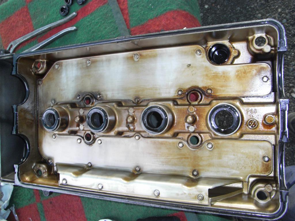 RIMG0318 (Large).JPG