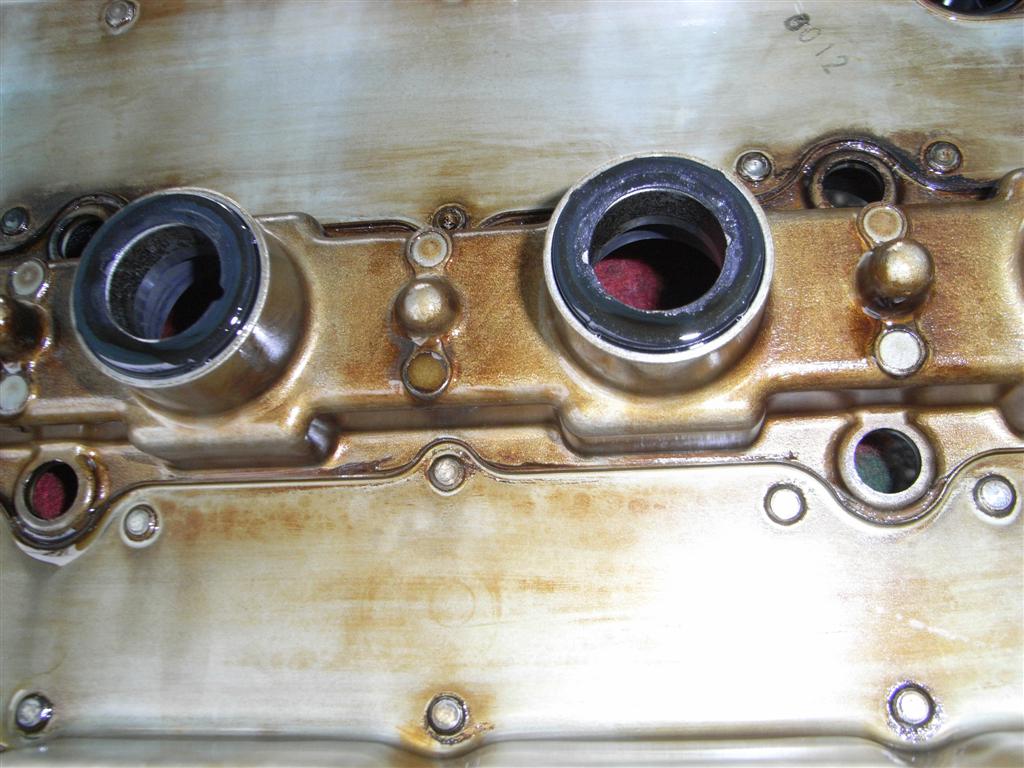 RIMG0319 (Large).JPG