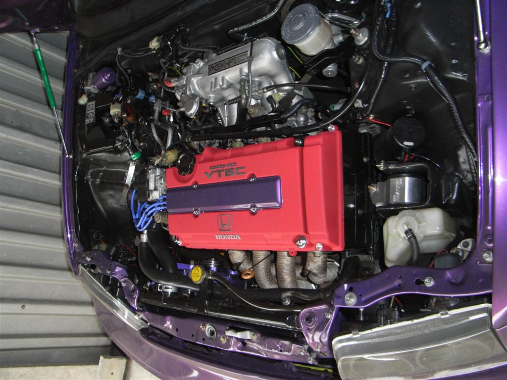 RIMG0372 (Large).JPG