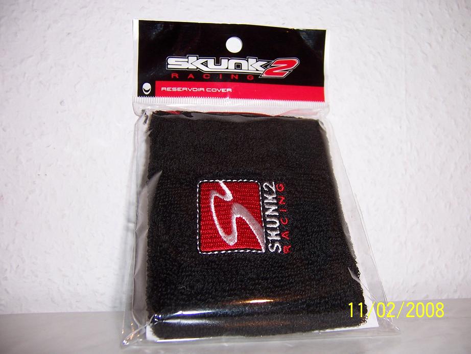 skunk1.JPG