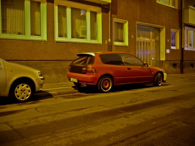 Bild-0262-2.jpg