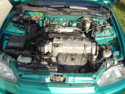 ej2.jpg
