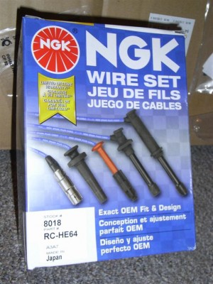 RIMG0269 (Large).JPG