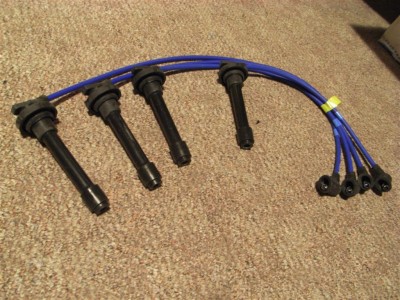 RIMG0271 (Large).JPG