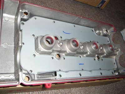 RIMG0298 (Large).JPG