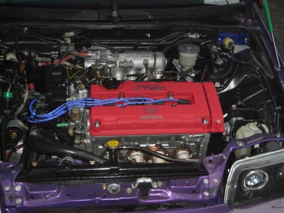 RIMG0323 (Large).JPG