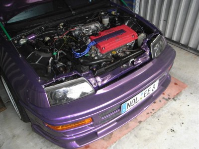 RIMG0370 (Large).JPG