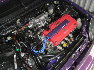 RIMG0371 (Large).JPG