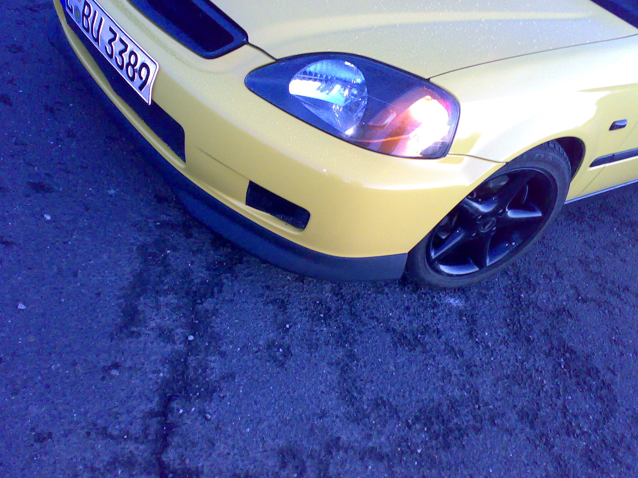29032008779.jpg