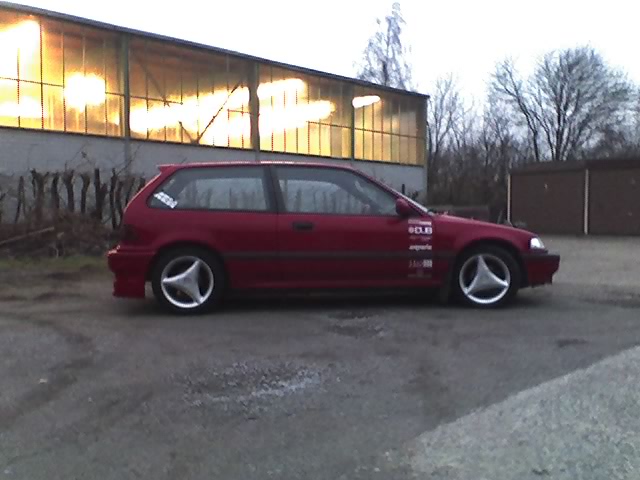 29-01-08_1724.jpg
