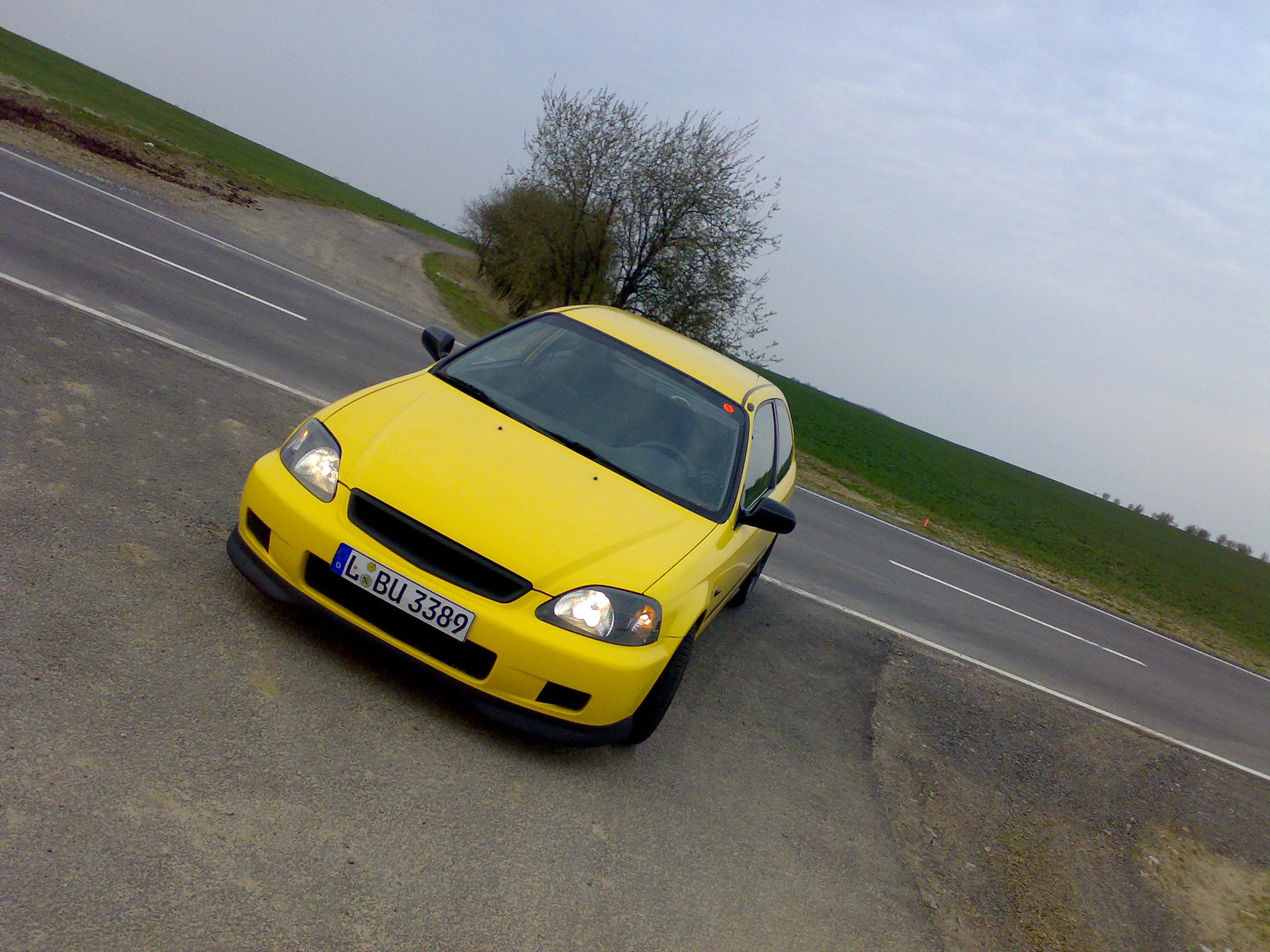 31032008810.jpg