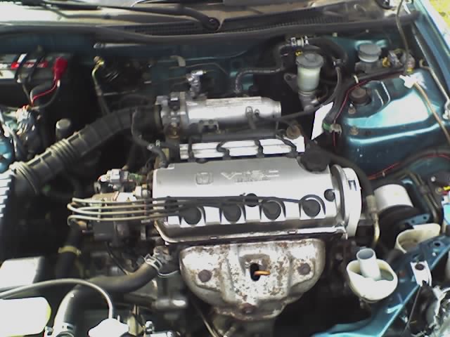 31-03-08_1019.jpg