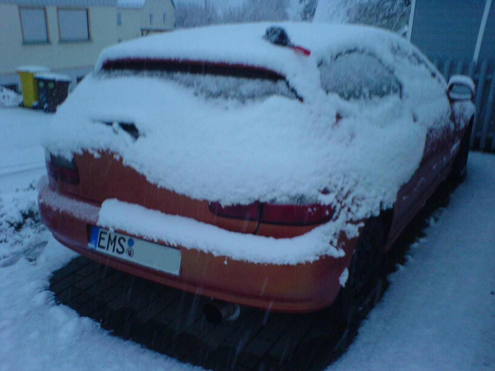 DSC00485.JPG