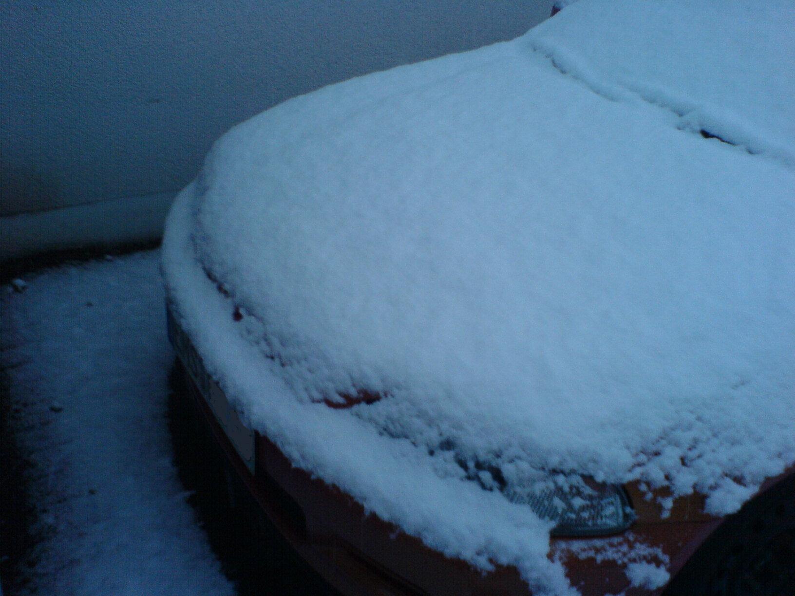 DSC00486.JPG